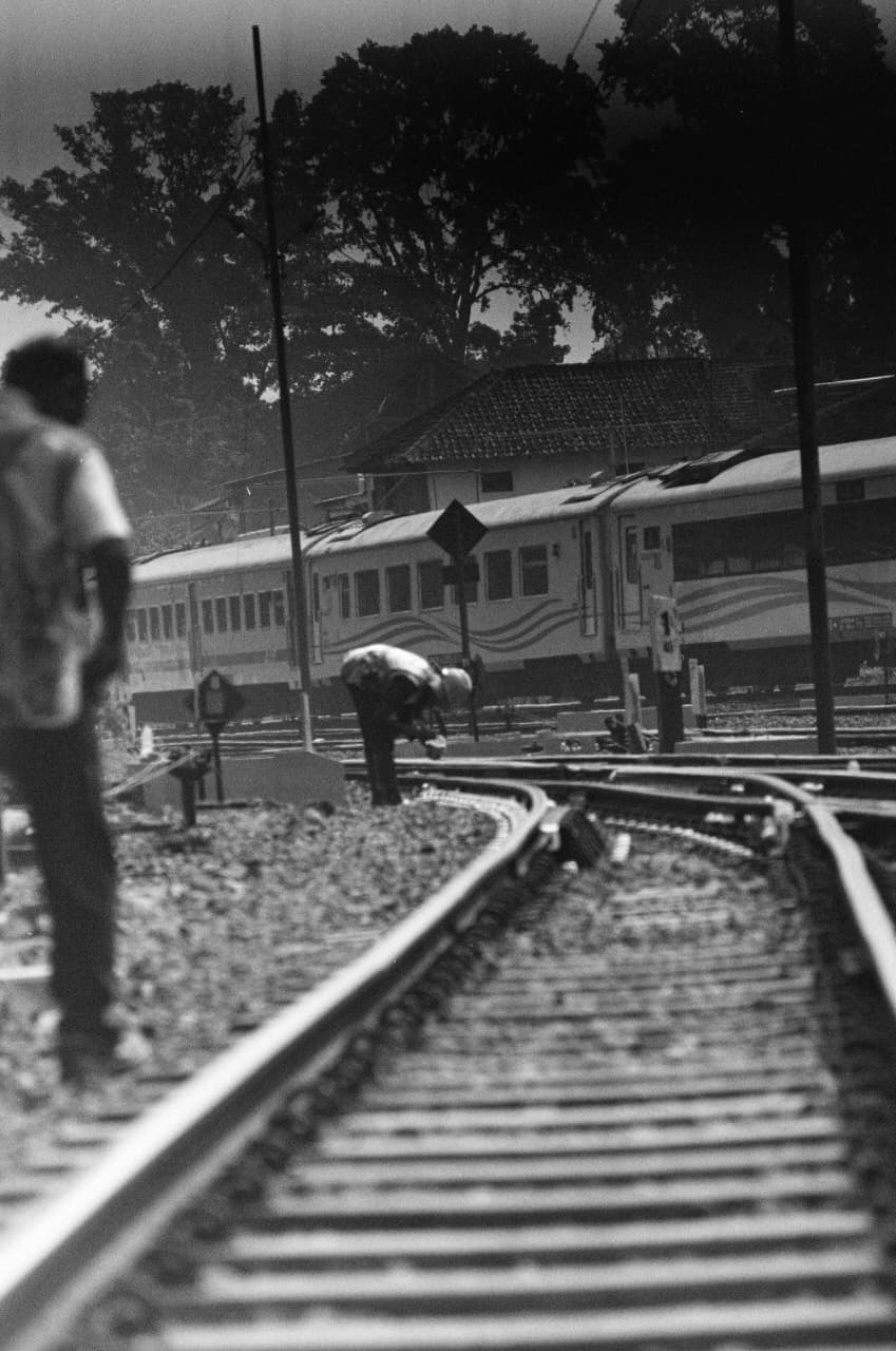 The Rail Ecosystem
