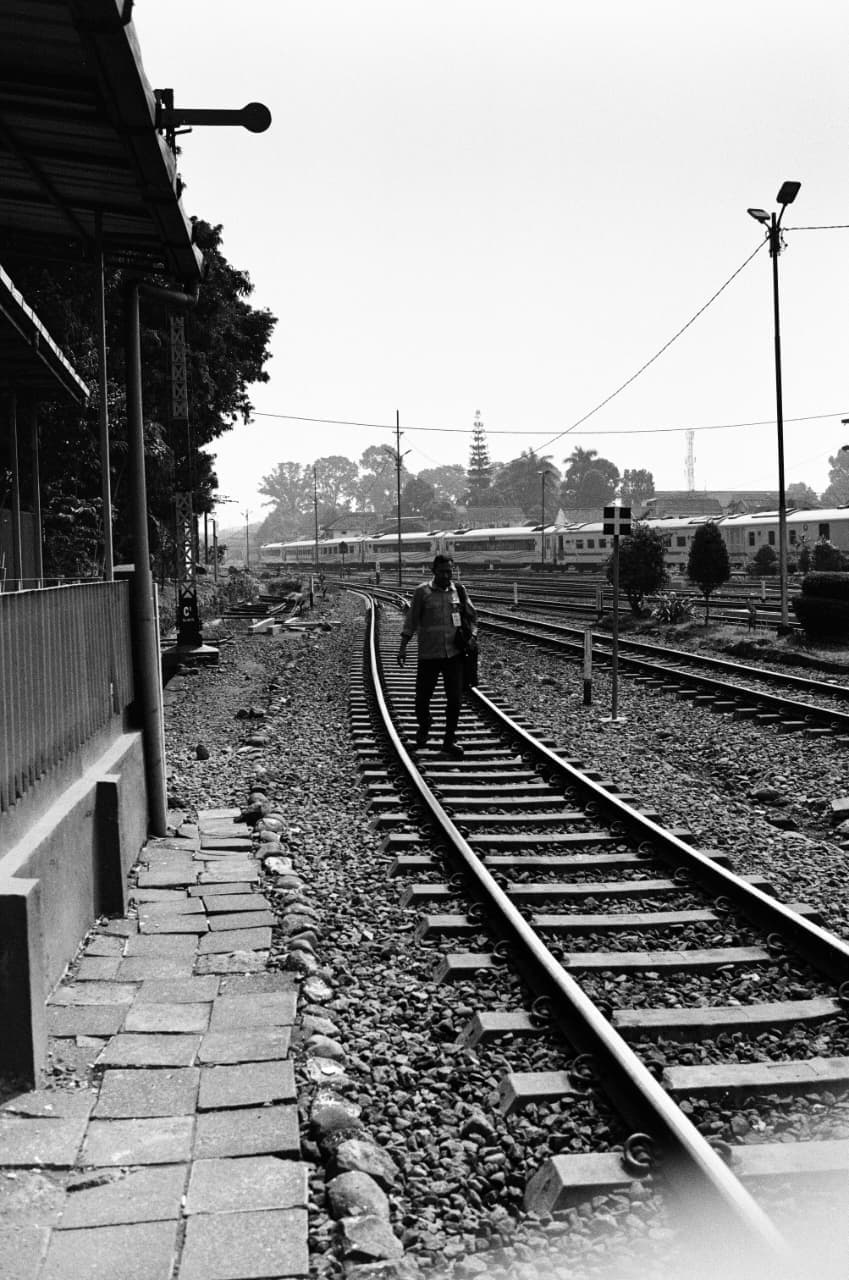 The Rail Ecosystem (2)